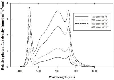 Leveraging Controlled-Environment Agriculture to Increase Key Basil Terpenoid and Phenylpropanoid Concentrations: The Effects of Radiation Intensity and CO2 Concentration on Consumer Preference